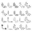 Set of fancy floral corners. Hand drawn ink illustration. Vector isolated.