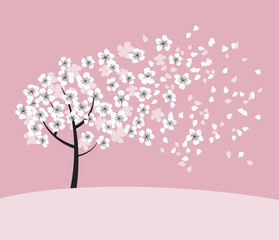 white sakura tree blossom on pink rosy background. elegant naive spring floral design element for in