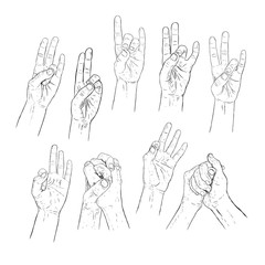 Hand drawn mudra, wise of fingers. Vector illistration of yoga.