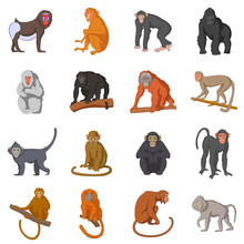 Different Monkeys Icons Set, Cartoon Style