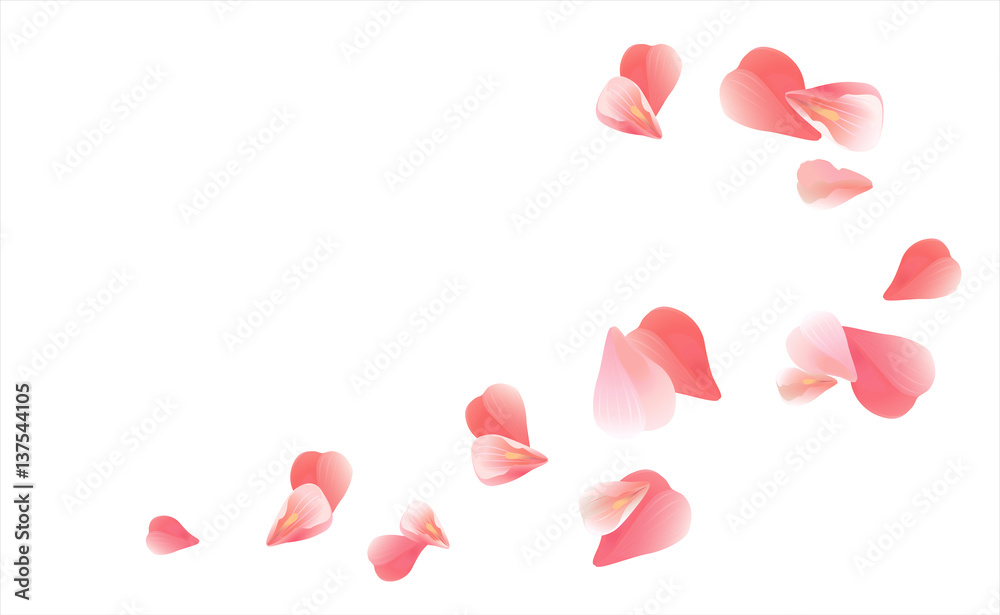 Pink Red flying petals isolated on white. Sakura Roses petals. Vector 
 - obrazy, fototapety, plakaty 