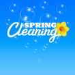 Spring Cleaning Lettering with soap bubbles Background, Daffodil, Housework, Spring Season