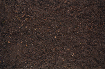 fertile soil texture background seen from above, top view. gardening or planting concept with copy s