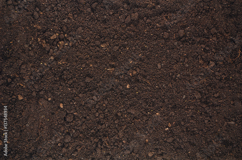 Cuadros en Lienzo Fertile soil texture background seen from above, top view