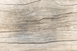 Fototapeta Kwiaty - Texture wood oak older style, background wooden old dirty