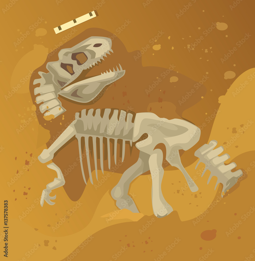 Ancient dinosaur skeleton fossil. Vector flat cartoon illustration Stock  Vector | Adobe Stock, image size:975x1000
