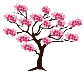 Canvas Print - vector cherry tree