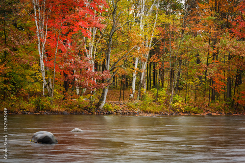 Fotografia, Obraz Autumn Riverside with Red and Gold trees