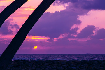 Wall Mural - silhouette of palm tree at beautiful tropical sunset