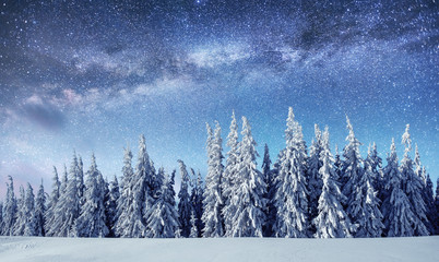 Wall Mural - Dairy Star Trek in the winter woods. Dramatic and picturesque sc