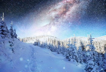 Wall Mural - starry sky in winter snowy night. fantastic milky way in the New