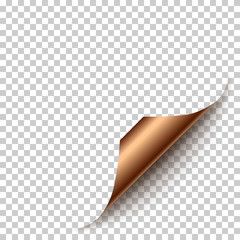 Leinwandbilder - Vector realistic bronze paper corner with shadow on transparent background