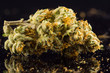 Marijuana Cannabis bud close up macro black background