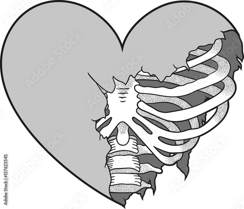 top 99+ Pictures the heart is blank to the ribs Updated