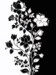 декоративные цветы. ветка с бутонами и листьями. деленная на два цвета. графический стиль