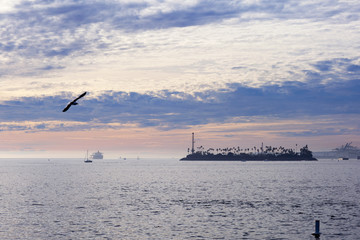 Wall Mural - The Pacific ocean is during sunset. Evening landscape has the blue sea, it is in Los Angeles, the USA. 