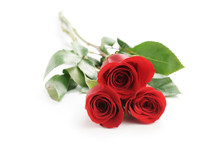 Three Fresh Red Roses Isolated On White