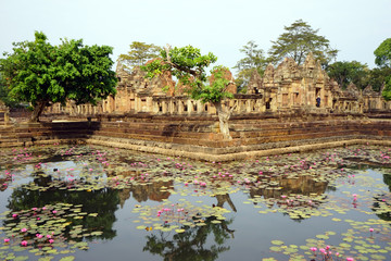 Wall Mural - Pond with lotuses