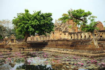 Wall Mural - Pond with lotuses