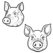 Set Of Pig Heads Isolated On White Background. Pork Meat. Design Element For Logo, Label, Emblem, Sign, Poster. Vector Illustration.