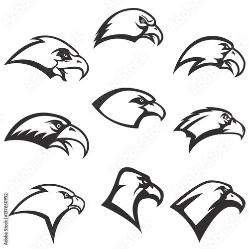 set of eagle heads icons isolated on white background. Design element