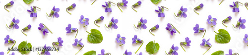 pattern panorama of violet and green leaves