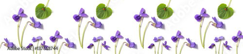 pattern of violet and green leaves
