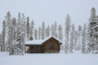 Log Cabin in the snow surrounded by Tall trees