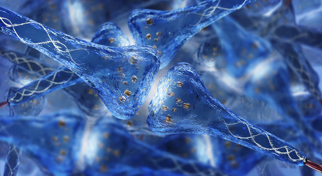 Synaptic process - human nervous system showing neurons and electrical transmission - 3D rendered image