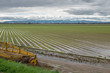 Northern California flood - Yolo Bypass Agricultural Area