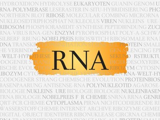 Sticker - RNA