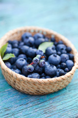 Wall Mural - fresh blueberries