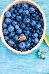 Canvas Print - fresh blueberries