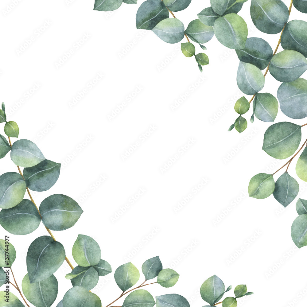 Foto-Plissee zum Schrauben - Watercolor green floral card with silver dollar eucalyptus leaves and branches isolated on white background.