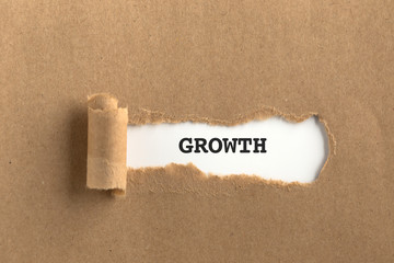 Sticker - The text GROWTH behind torn brown paper