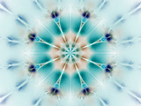 Fototapeta Dmuchawce - Exotic flower in blue and brown colors. Abstract mandala. Fantasy fractal art. 3D rendering.