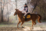 Fototapeta Konie - Young girl riding a horse