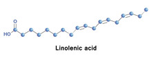 A Linolenic Is An N 3 Fatty Acid. It Is One Of Two Essential Fatty Acids. It Must Be Acquired Through Diet. ALA Is An Omega-3 Fatty Acid Found In Seeds, Nuts And Many Common Vegetable Oils