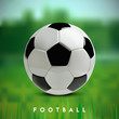 Soccer or Football 3d Ball on green background.
