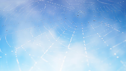Abstract blur light blue sky background with spider web (cobweb), water dew drops and sun shine in morning time.