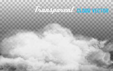 Fototapete - Smoke vector on transparent background.