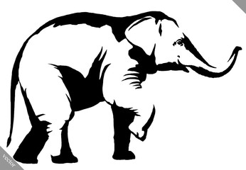 black and white linear paint draw elephant illustration