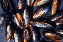 Texture Of Mussels