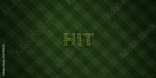 Fotografía HIT - fresh Grass letters with flowers and dandelions - 3D rendered royalty free stock image