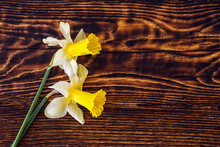 Beautiful Yellow Narcissus On Wooden Background, Welcome Easter, Spring Background