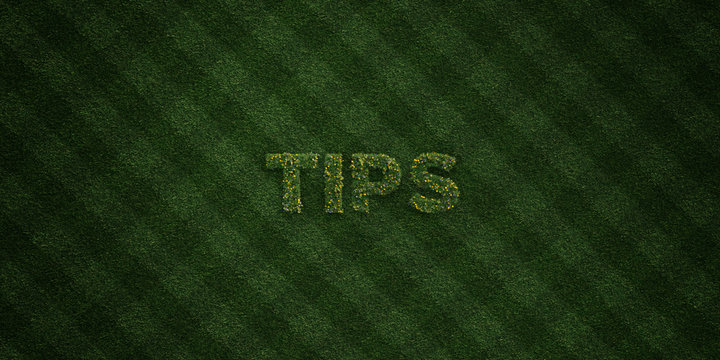 TIPS - fresh Grass letters with flowers and dandelions - 3D rendered royalty free stock image. Can be used for online banner ads and direct mailers..