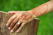 Tattoo. Henna. Woman hand. India. Outdoors. Wood and park