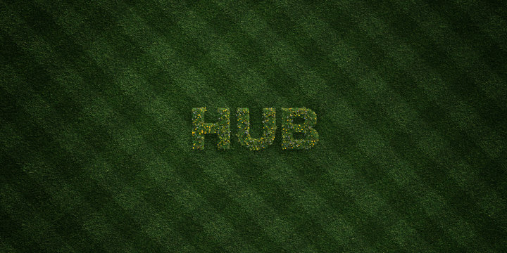 HUB - fresh Grass letters with flowers and dandelions - 3D rendered royalty free stock image. Can be used for online banner ads and direct mailers..