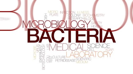 Canvas Print - Bacteria animated word cloud, text design animation. Kinetic typography.