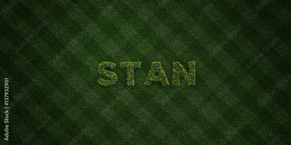 STAN - fresh Grass letters with flowers and dandelions - 3D rendered ...